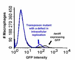 Illustration of Kyle Perry's Research